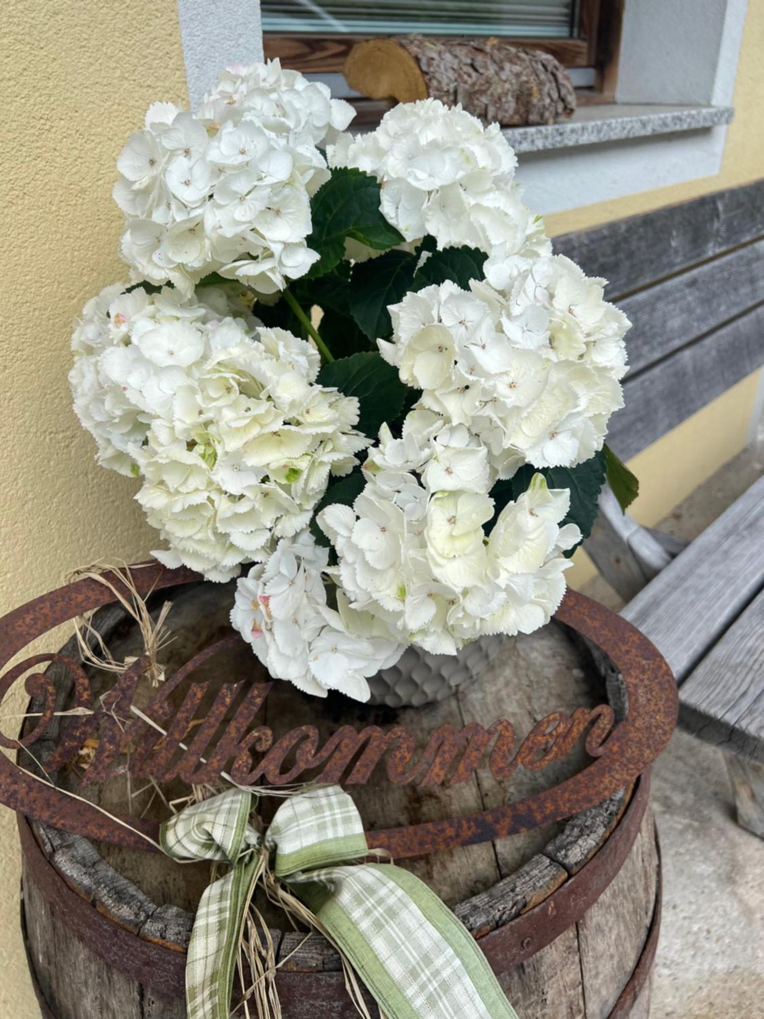 Ferienwohnung Steinbock Terrasse, Gartensauna, Garten, Grillplatz ชตุมม์ ภายนอก รูปภาพ